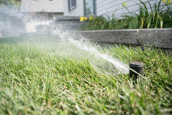 Lakeside lighting and irrigation