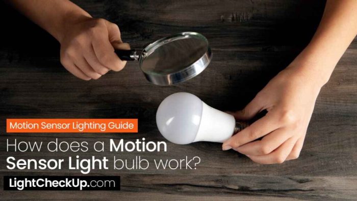 Blink motion sensor light