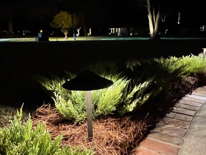Home outdoor lighting companies