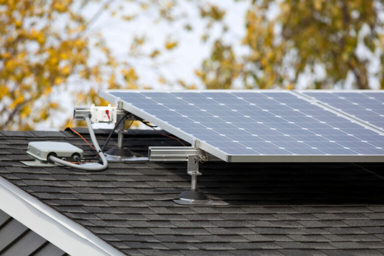 Envision Security Solar Pest A Sustainable Solution